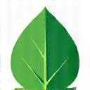 Green leaf icon for sustainability